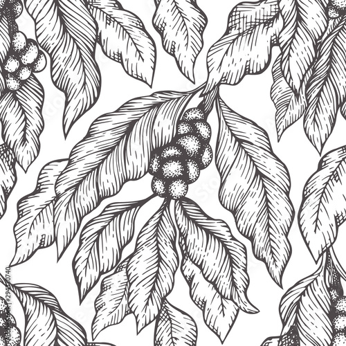 Coffee tree branch seamless vector pattern. Vintage coffee background. Hand drawn engraved style illustration.
