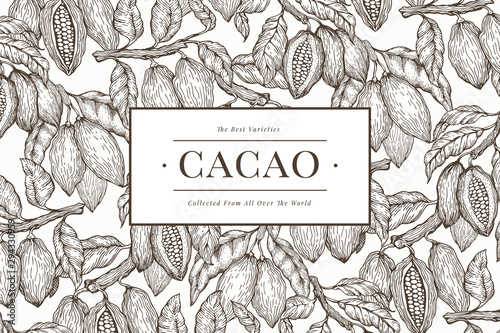 Cocoa banner template. Chocolate cocoa beans background. Vector hand drawn illustration. Vintage style illustration.