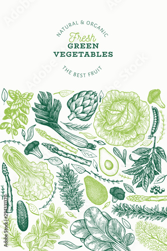 Green vegetables design template. Hand drawn vector food illustration. Engraved style vegetable banner. Retro botanical banner.