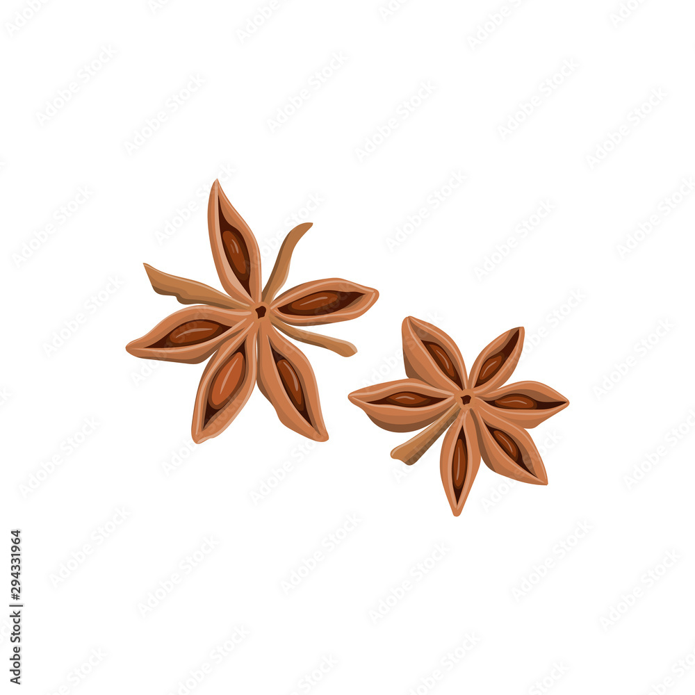 Stars of anise isolated on the white background. Stars of anise isolated on the white background.
