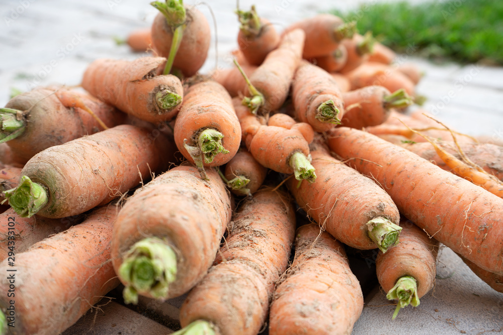 Photo food vegetable carrot. Texture background of fresh large orange carrots. Vegetable Root Carrot Photo food vegetable carrot. Texture background of fresh large orange carrots. Vegetable Root Carrot