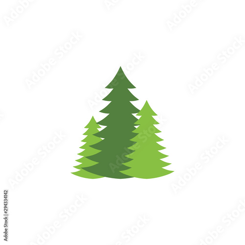 Cedar tree graphic design template vector isolated