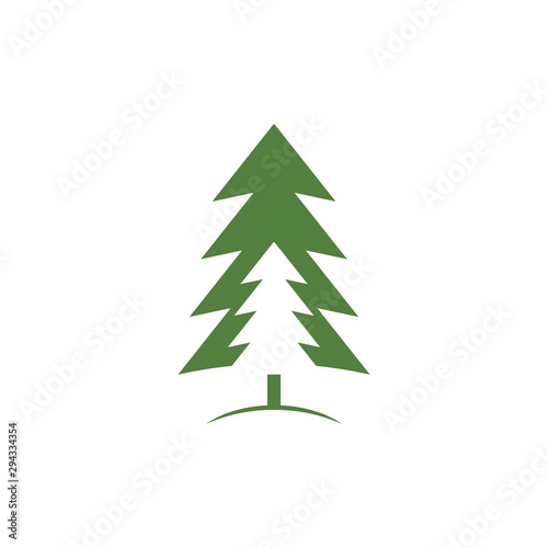 Cedar tree graphic design template vector isolated