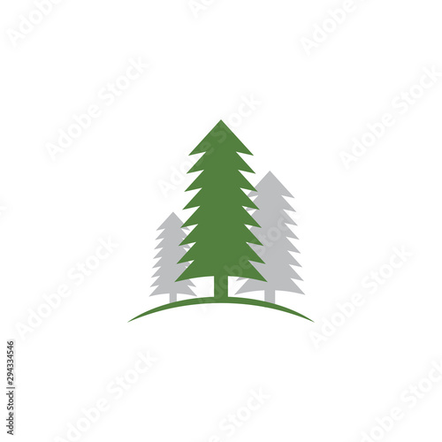Cedar tree graphic design template vector isolated