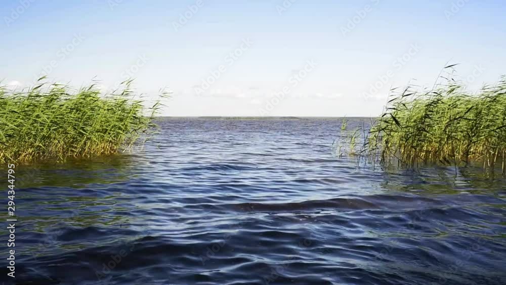 beautiful view of the natural lake with the movement of waves and sedges near the shore beautiful view of the natural lake with the movement of waves and sedges near the shore