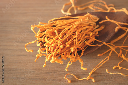 dried cordyceps militaris mushroom flower on wooden background.