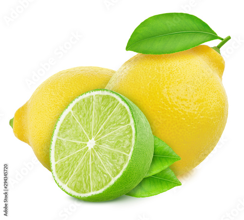 Different citrus fruits composition isolated on a white background.
