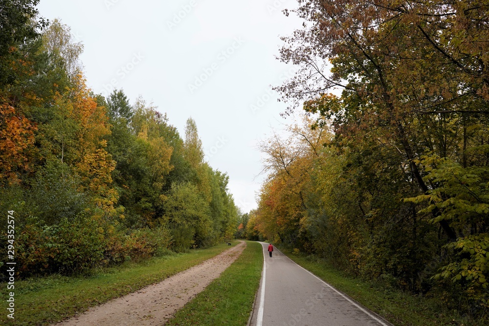Obraz premium Lonely woman waking on the path in the park, seen from behind. Vilnius Lithuania 
