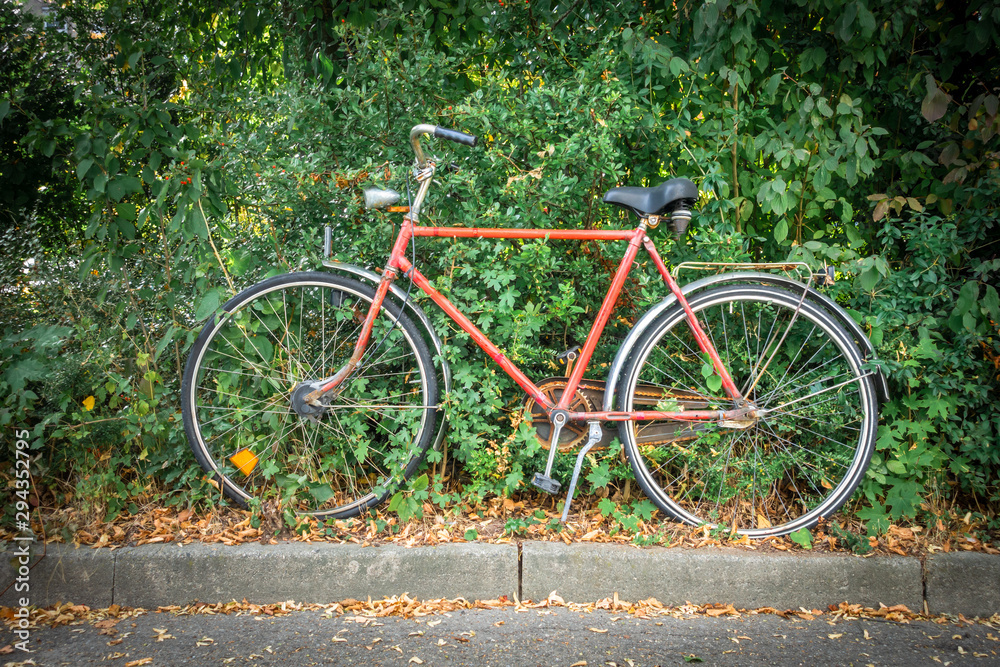 old bicycle in a hedge