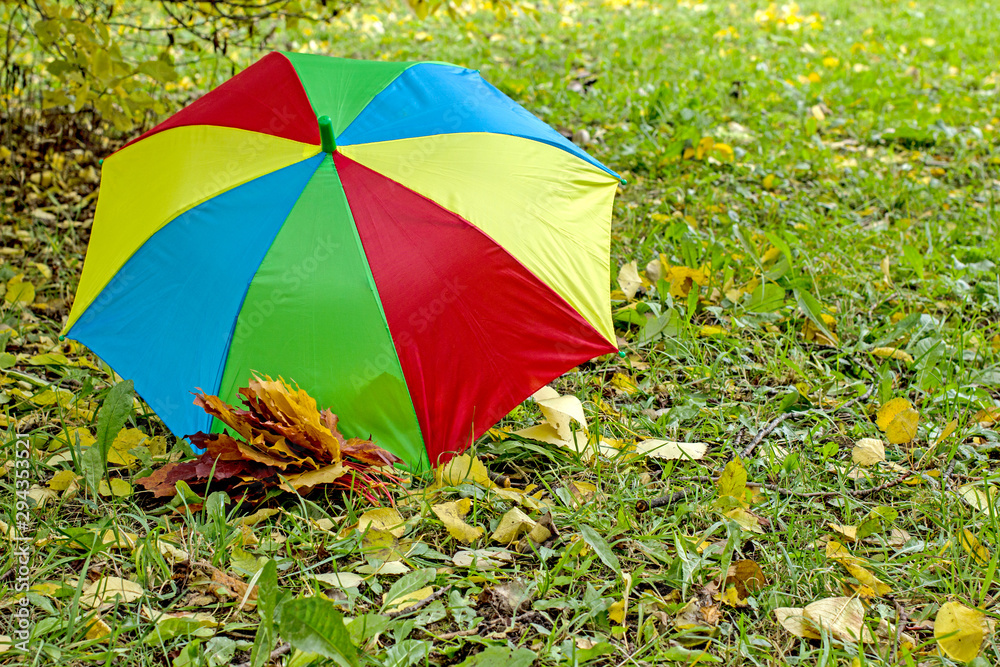 A multi-colored umbrella in red, green, yellow, blue is standing on the ground with fallen leaves, in the background are trees and a pond. The concept of autumn, rainy autumn day, walk 
