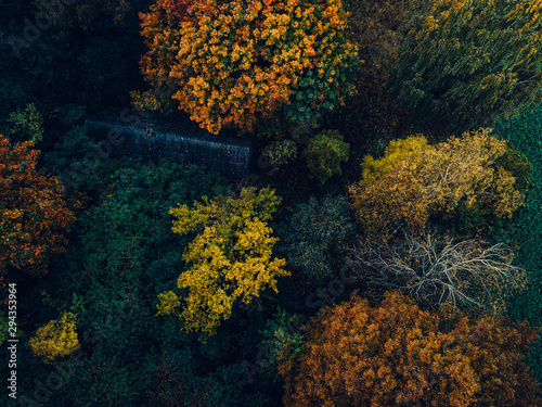 Abstract aerial top down view of autumn colors - abandoned house roof surrounded by trees