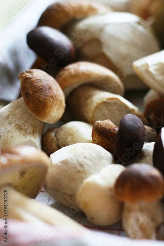 boletus porcini mushrooms in autumn 