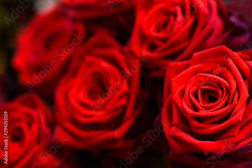 Luxury bouquet of red roses. Beautiful flowers close up.