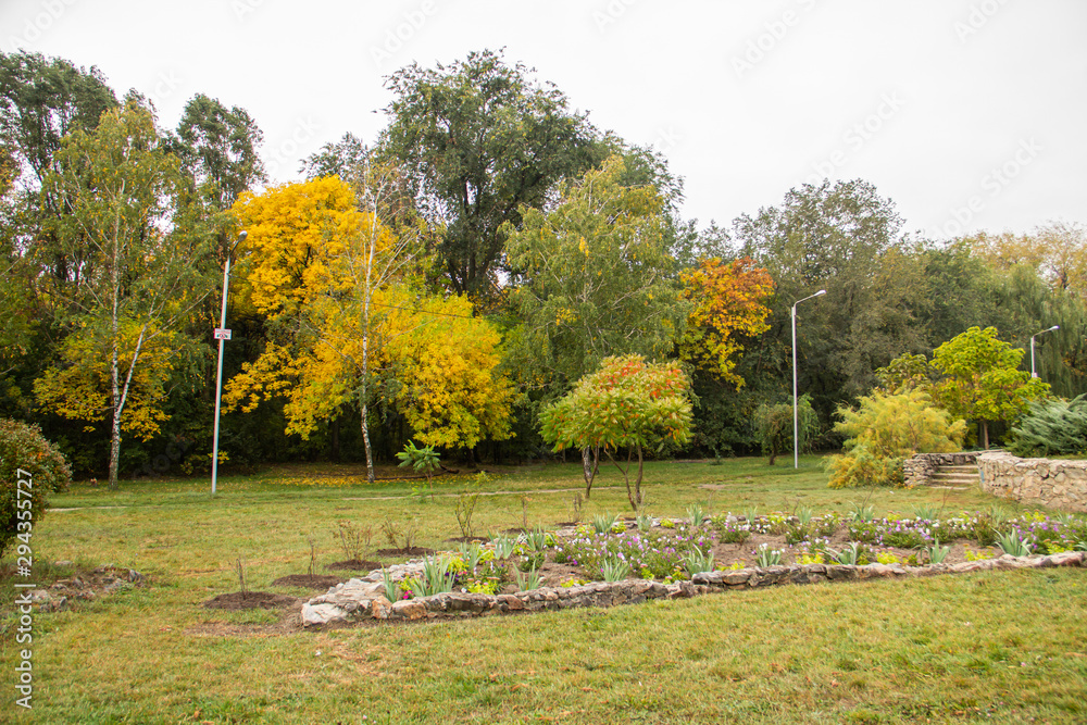 Autumn bright color park with trees