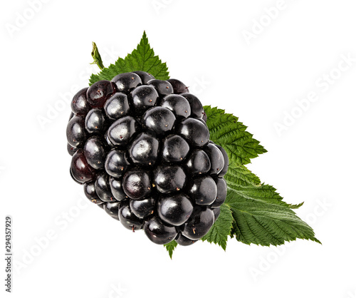 Blackberry with green leaf isolated on white background with clipping path