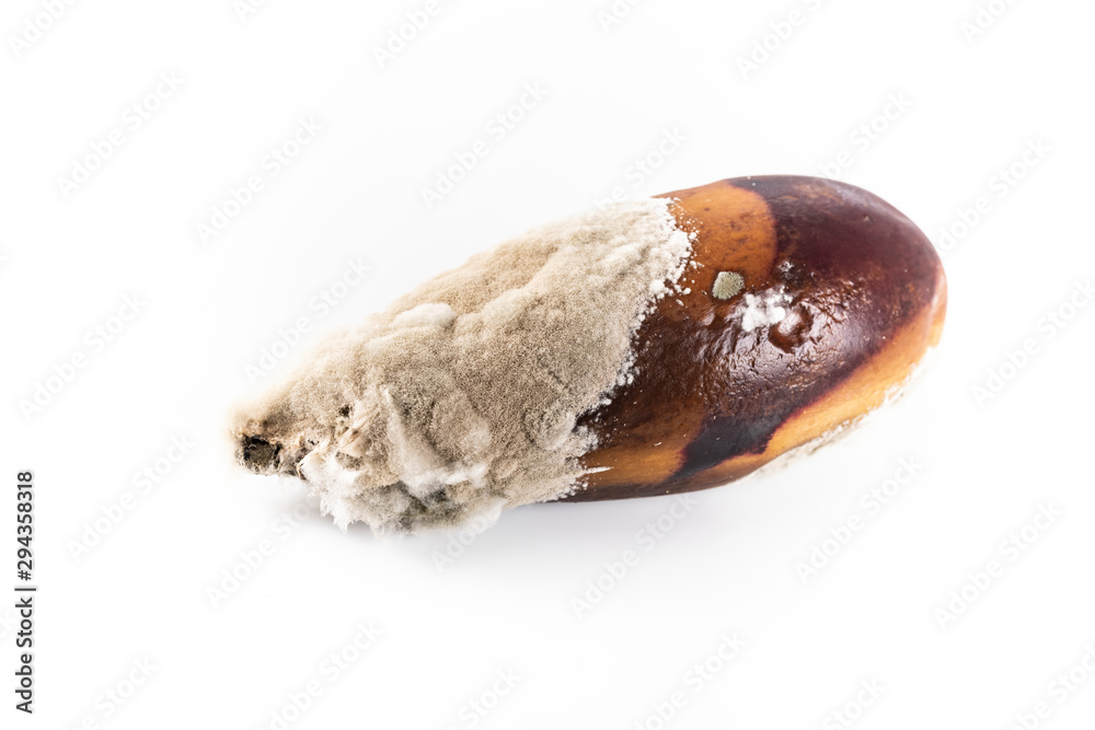 Obraz premium A rotten eggplant. Spoiled vegetable, unfit to eat.