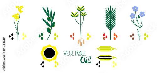 A set of vegetable oils of different types. Flat vector illustration of sunflower, olive, palm, sesame, linenseed, colza, peanut oil.