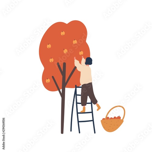 Girl gathering autumn harvest flat vector illustration