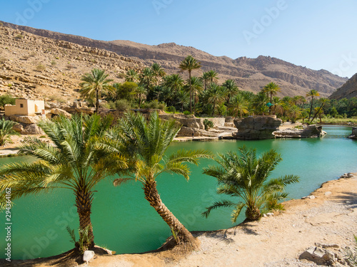 Sultanate of Oman, Sharqiya region, Muqal, Wadi Bani Khalid, freshwater lake
