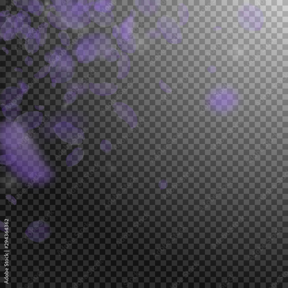 Violet flower petals falling down. Noteworthy roma Violet flower petals falling down. Noteworthy roma