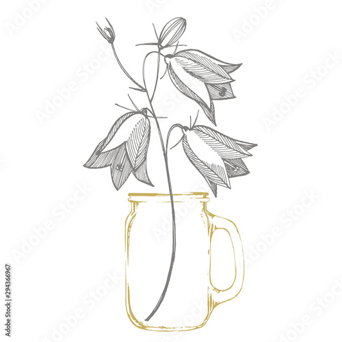 Bellflower blossoms, leaves and bouquets set. Natural summer, spring meadow plants monochrome. Floral natural illustration for poster, textile decoration. Botanical plant illustration