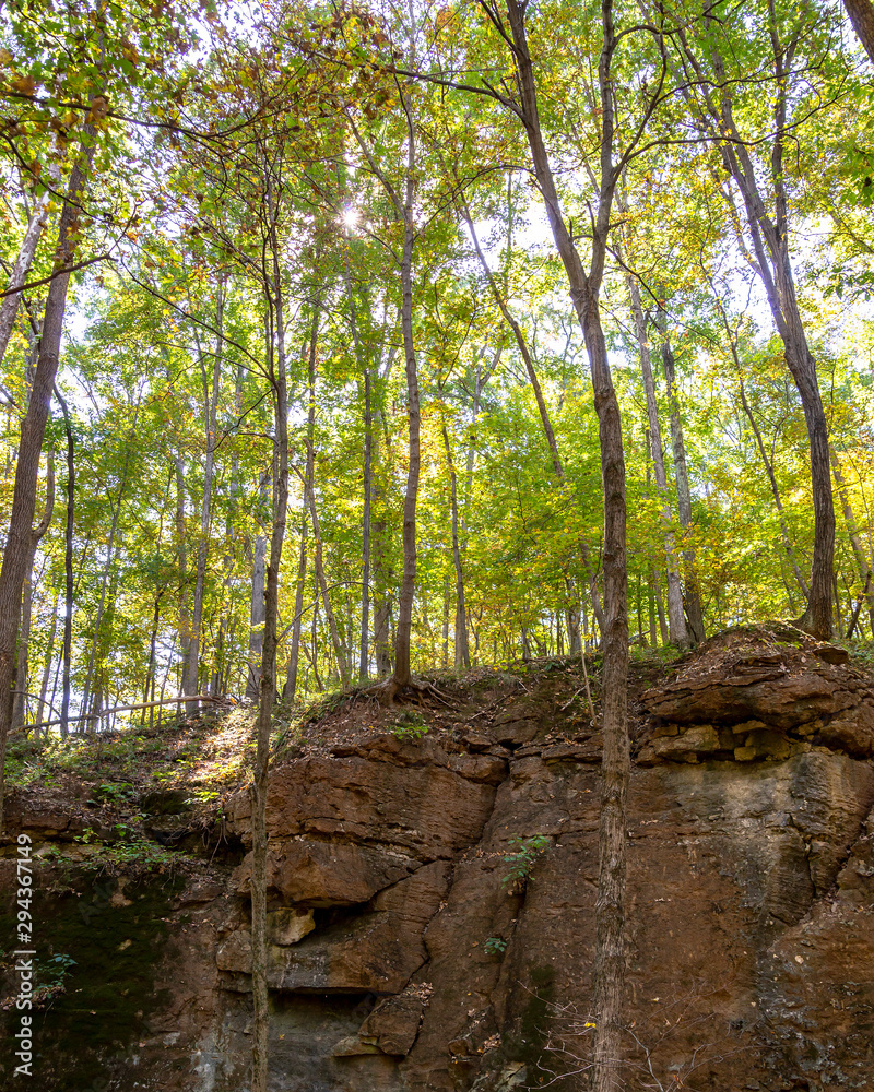 rock bluff in the woods vertical shot rock bluff in the woods vertical shot