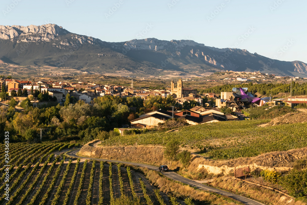 Obraz premium Viñedos en La Rioja