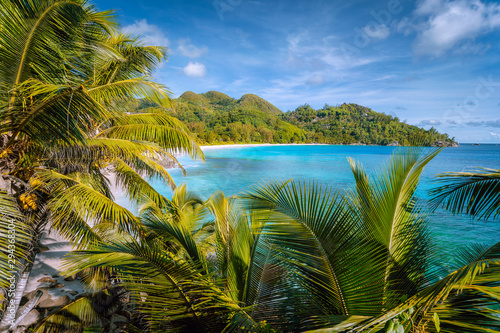 Beautiful tropical exotic Anse Intendance beach on Mahe island, Seychelles. Lush foliage of coconut palm trees in foreground photo