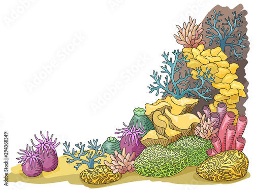 Coral sea graphic color underwater landscape illustration vector