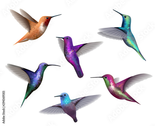 Flying hummingbirds. Little colored birds exotic jungle colored little hummingbirds vector realistic tropical collection. Hummingbird colorful beak, flying tropical illustration