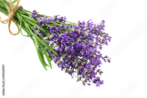 lavender flowers isolated on white background. bunch of lavender flowers.