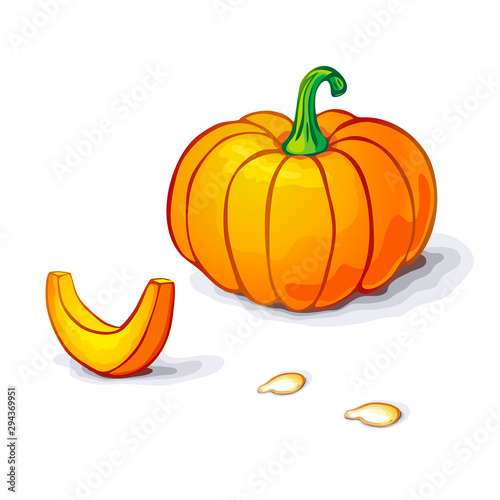 vector pumpkin or squash illustration with slice and seeds isolated on white backdrop. pumpkin icon. realistic Orange pumpkin with stem for logo, halloween or thanksgiving. farm market produkt.