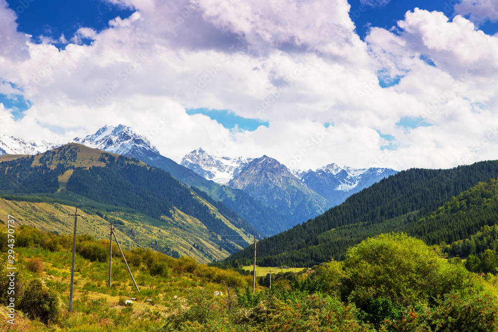 Mountain summer landscape. Tall trees, snowy mountains and white clouds on a blue sky. Kyrgyzstan Beautiful landscape.