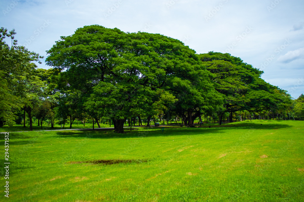 Green lawns and large trees provide shade for the people to relax