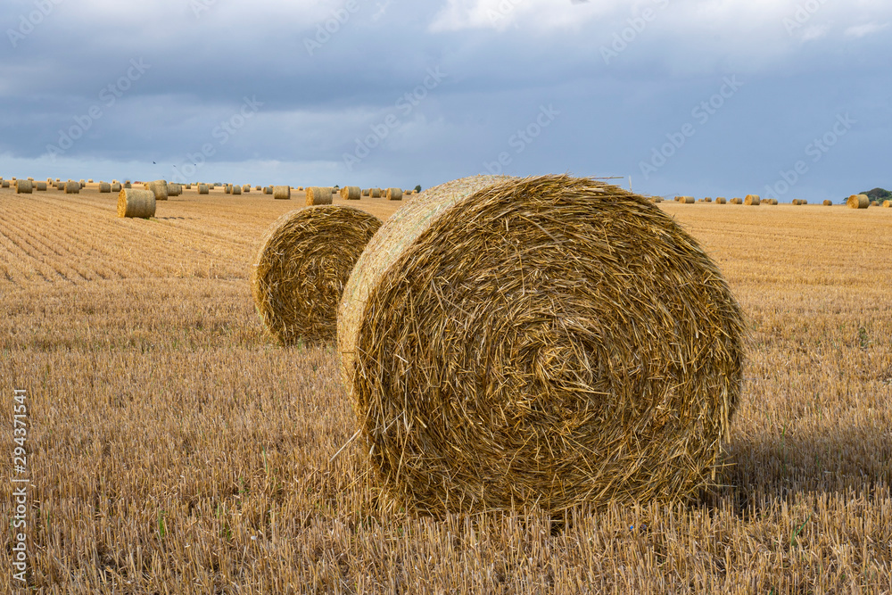 Harvested straw field with round dry hay bales in front of mountain range. Cut and rolled hay bales lay in a fieldhay bales in the sunset. Salisbury, Stonehenge.