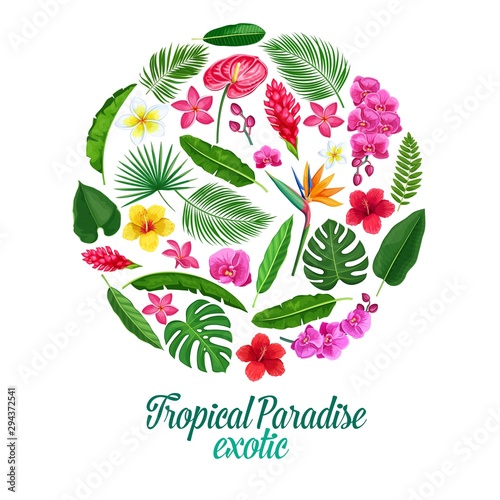 tropical leaves and flowers