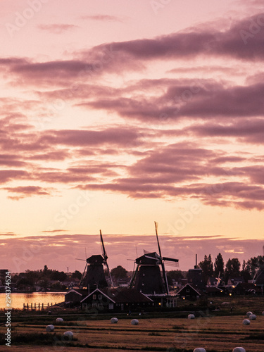 Typical dutch windmills on fields at sunset.