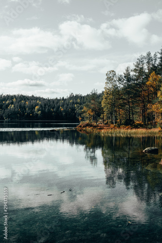 autumn landscape with lake and trees © Anders