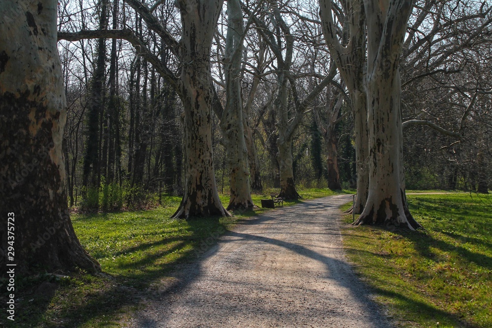 path in park path in park