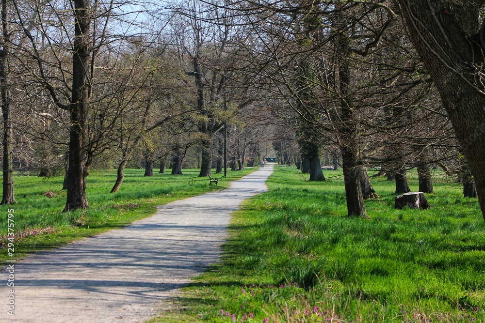 path in the park