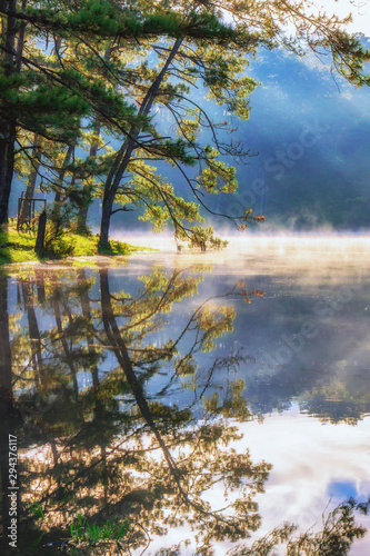 sunshine on the lake 