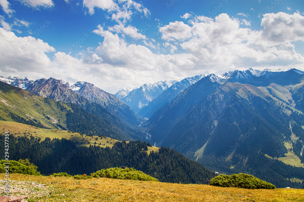 Fototapeta premium Mountain summer landscape. Snowy mountains and green grass. Peak Karakol Kyrgyzstan.