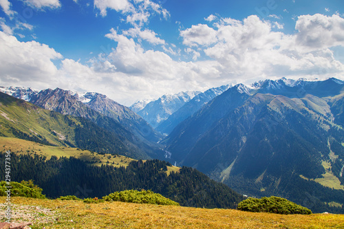 Mountain summer landscape. Snowy mountains and green grass. Peak Karakol Kyrgyzstan.