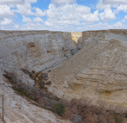 Canyon Ein Avdat in the Negev Desert of Israel. Landscape of dry riverbed in the Negev. Traveling in Israel. Panorama