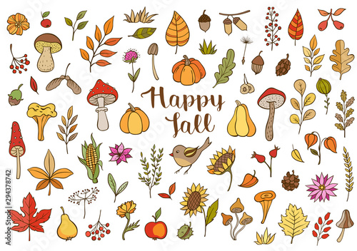 Autumn doodle vector design elements