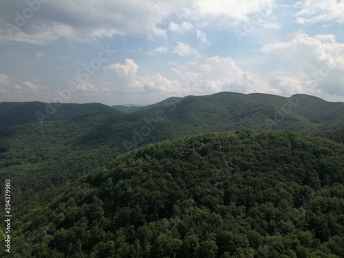 Mountain landscape hills and elevations covered with dense forest