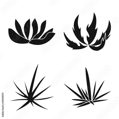 Vector design of nature and environment symbol. Collection of nature and grass stock vector illustration.