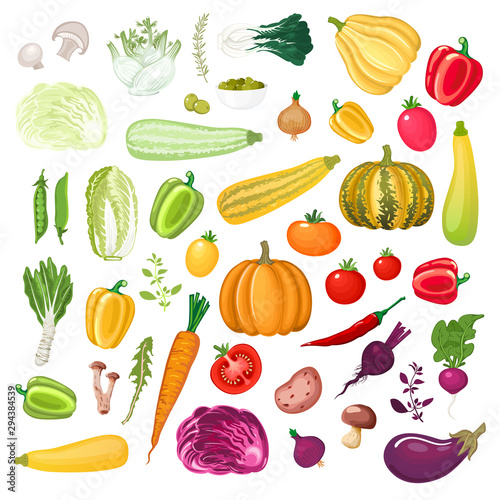 Big collection of colorful vegetables, mushrooms and aromatic herbs.