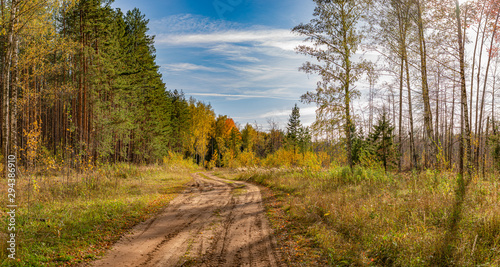 Forest dirt road for logging. Yakshur-bodinsky district, Udmurt Republic, Russia.