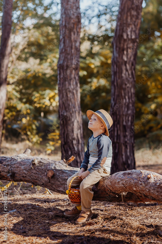 Stylish boy in a hat with a basket. boy in the park in a hat with a basket in autumn Stylish boy in a hat with a basket. boy in the park in a hat with a basket in autumn